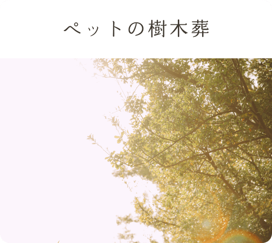 ペットの樹木葬